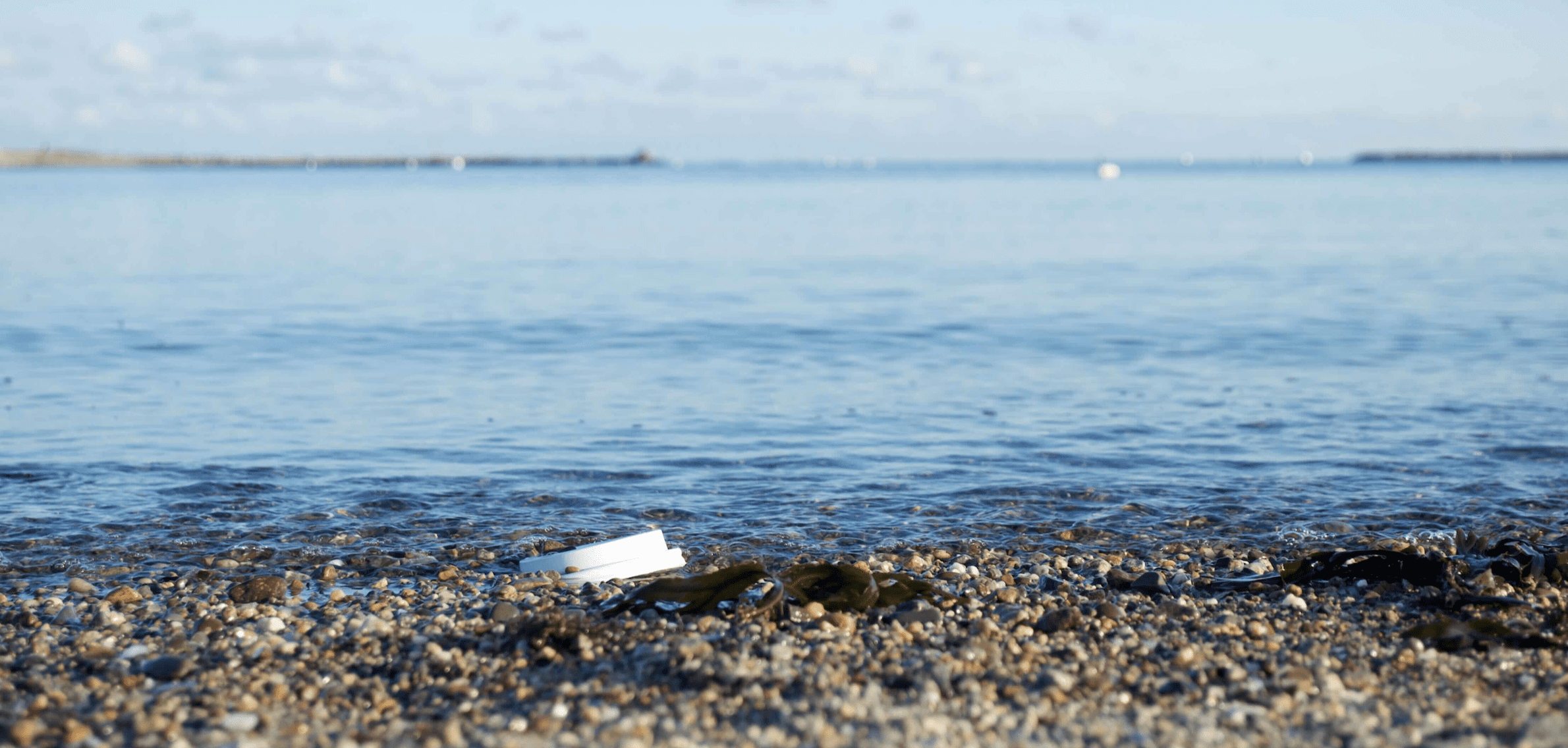 Cup lid at the beach